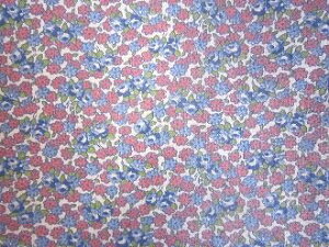 tB[hTbN nsNu[ԁ@(1/16TCYj