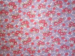 tB[hTbN nԃu[ԁ@(1/16TCYj