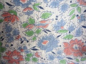 tB[hTbN @nsNu[Ƃԁ@i1/4TCY)