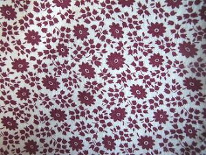 tB[hTbN @nGWFԁ@i1/4TCY)