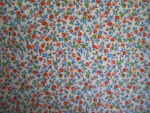 tB[hTbN nԁ@i1/4TCYj