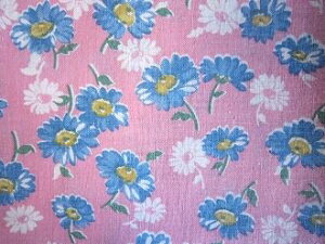 tB[hTbN @sNnf[W[ԁ@(1/4TCYj