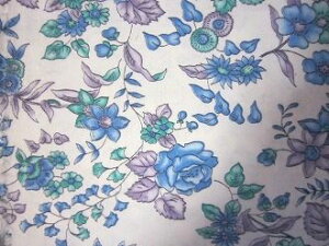 tB[hTbN nu[nԁ@(1/4TCYj