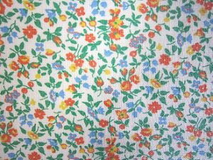 tB[hTbN @nIWu[ԁ@([TCYj