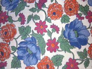 tB[hTbN @nFCFԁ@i[TCYj