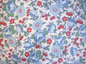 tB[hTbN @nu-Ԃԁ@i1/4TCY)