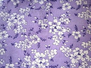 tB[hTbN @x_[Fnԁ@i1/4TCY)