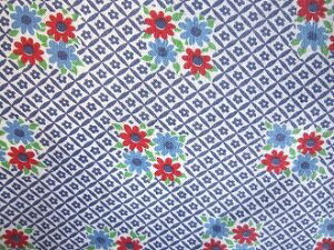 tB[hTbN @nԐԂƃlCr[ԁ@i1/4TCY)