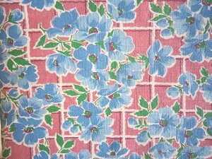 tB[hTbN @sNnu[̂ԁi1/16TCY)