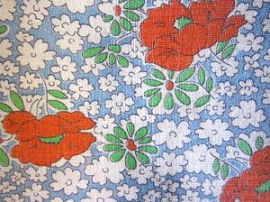 tB[hTbN@u[nԂƐԂԁ@i[TCY)