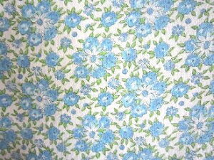 tB[hTbN@nu[ԁ@i[TCYj