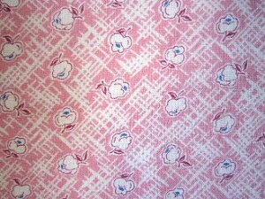 tB[hTbN @sNnԁ@i1/16TCY)