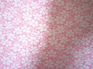 tB[hTbN sNnԁ@i1/16TCY)