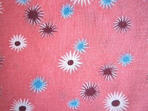 tB[hTbN sNnX^[͗l i1/16TCY)