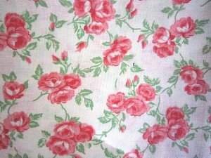 tB[hTbN @nԃsN[Y@i[TCY)