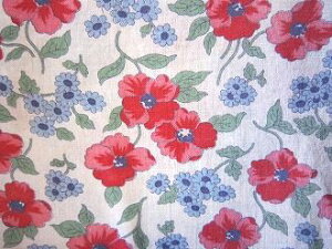 tB[hTbN @nԐԁ@i1/4TCY)