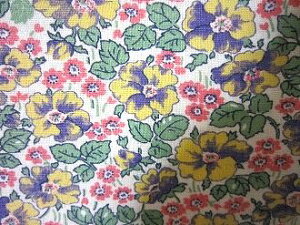 tB[hTbN nFsNԁ@i1/4TCY)