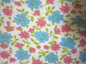 tB[hTbN nsNu[ԁ@i1/4TCY)