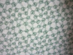 tB[hTbN n[O[􉽊w@i1/4TCY)