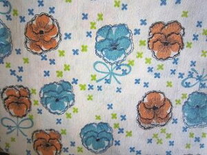 tB[hTbN@nIWpW[ԁ@i1/4TCY)