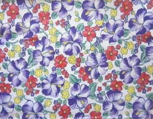 tB[hTbN@np[vԁ@i1/4TCY)