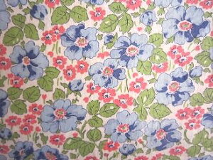 tB[hTbN@nԂԁ@i1/4TCY)