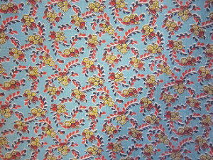 tB[hTbN ^[RCYnCG[S[hԁ@i1/16TCY)