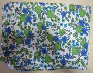 tB[hTbN @nu[O[ԁ@(tTCYj