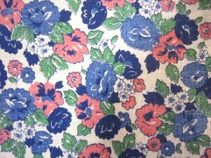 tB[hTbN @nsNu[ԁ@i1/4TCY)