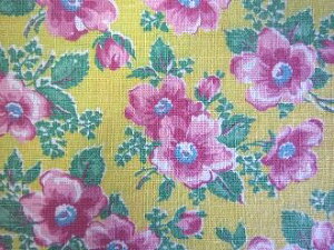 tB[hTbN CG[nsNԁ@ i1/16TCY)