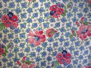 tB[hTbN nsNԂƃu[~jKN@ i1/16TCY)