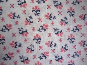 tB[hTbN nsN̂Ԃ̏u[P@i1/16TCY)