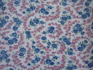 tB[hTbN nsNu[ԁi1/16TCY)