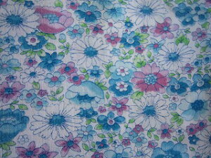 tB[hTbN nu[nԁi1/16TCY)