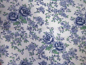 hCc@W[}t@ubN@u[ԂƃO[t