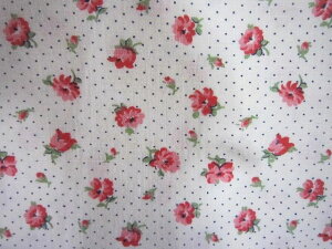 tB[hTbN @nԏԂƏhbg@i1/16TCY)