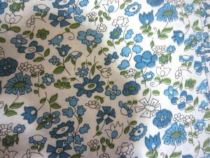 tB[hTbN nu[nԁ@i1/16TCY)