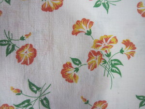 tB[hTbN nIWԁi1/4TCY)