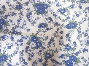 tB[hTbN@nu[nԁ@i1/4TCY)