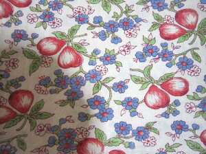 tB[hTbN@nt[cƏԕi[TCYj