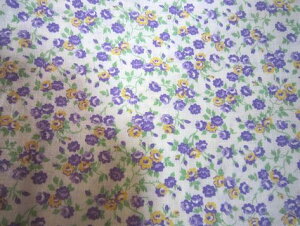 tB[hTbN nԁ@i1/4TCY)