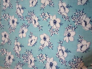 tB[hTbN @u[nԁ@i1/4TCY)