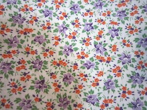 tB[hTbN@np[vԏԁ@i1/4TCY)