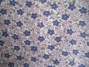 tB[hTbN @nu[ԁ@i1/4TCY)