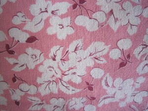 tB[hTbN sNnԁ@i1/4TCY)