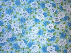 tB[hTbN u[n[Y@i1/4TCY)