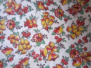 tB[hTbN @nԃIW@xt[@i1/4TCY)