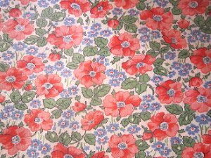 tB[hTbN @nԐԁ@i1/16TCY)