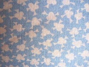 tB[hTbN @Fn͗l@i1/16TCY)