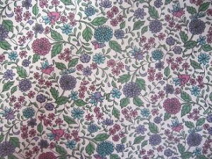 tB[hTbN nΎnԁ@i1/4TCY)